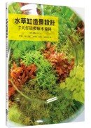 水草缸造景設計：7天打造療癒水森林