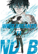WIND BREAKER—防風少年—(11)特裝版