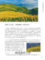 原來有這站：台灣秘境鐵道旅，探訪山城聚落、海岸風景、特色景點的火車深度漫遊提案