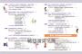 退化性關節炎診治照護全書：51堂速懂膝關節炎&髖關節炎預防與治療的健康課程