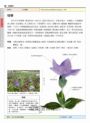 台灣傳統青草茶植物圖鑑（收錄常用青草茶植物113種，與24節氣獨家青草茶配方）