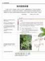 台灣傳統青草茶植物圖鑑（收錄常用青草茶植物113種，與24節氣獨家青草茶配方）